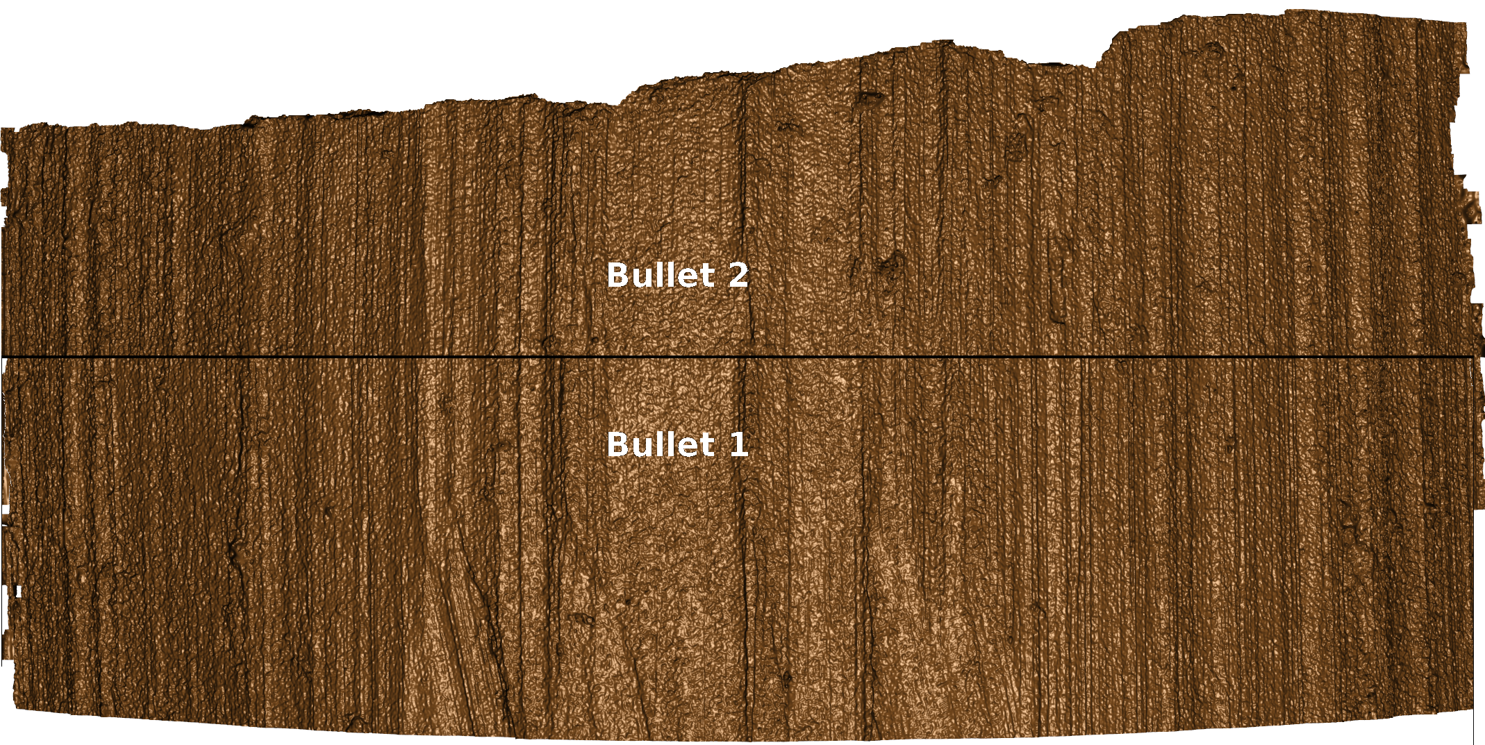 Aligned Bullet Comparison