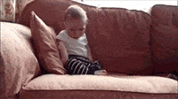 A gif of a baby falling over, face first, onto the couch.