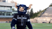 The Utah State mascot