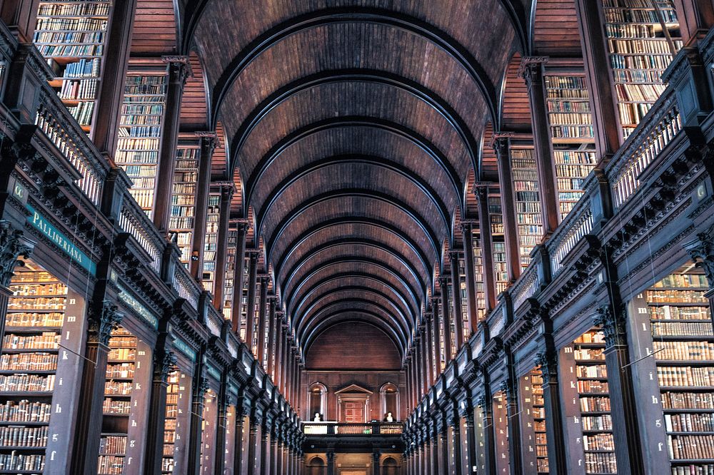 Image of Dublin College Library, containing two full stories of bookshelves, row by row, with a beautiful arched ceiling connecting the two aisles of books.