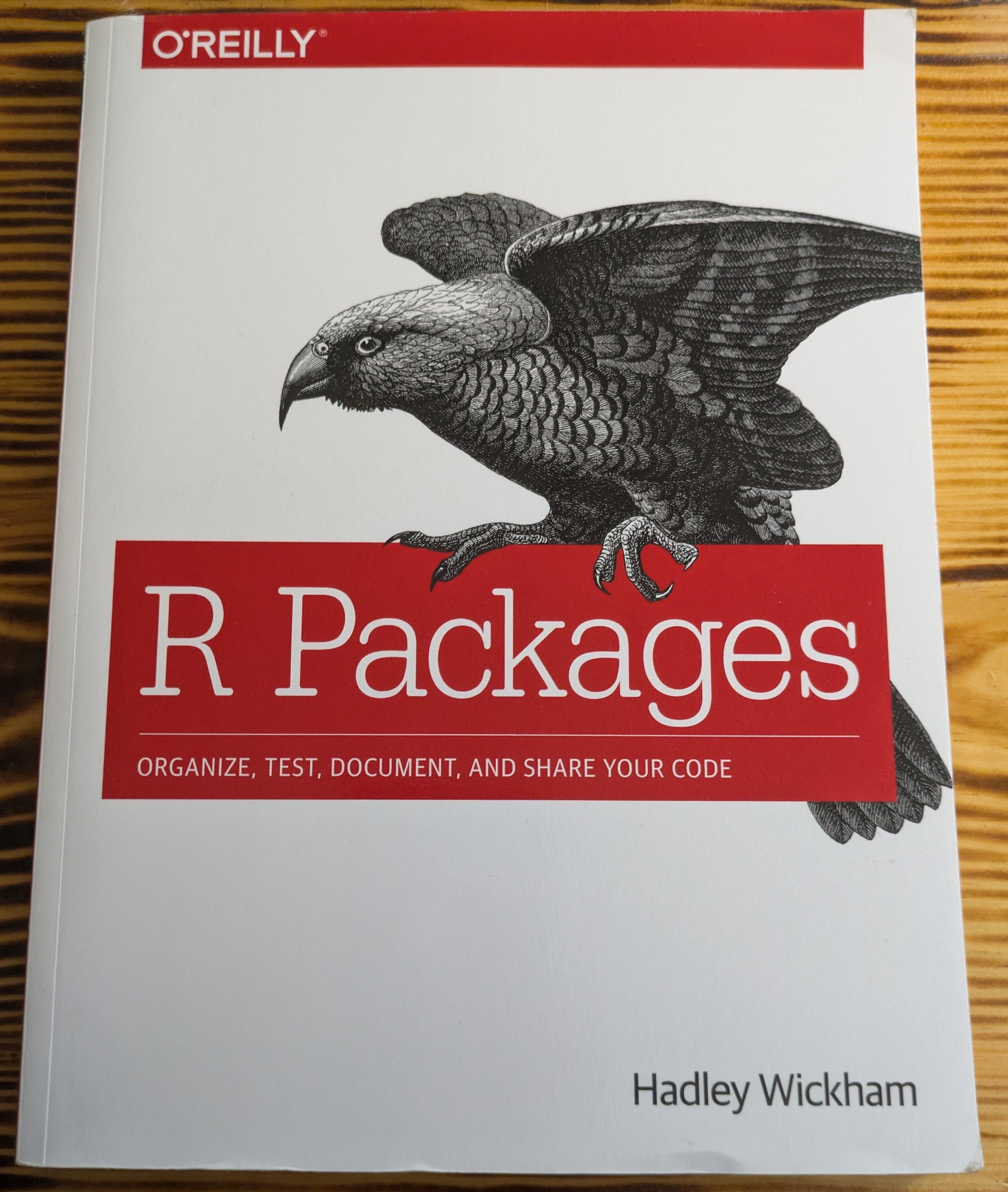 A single book (R Packages by Hadley Wickham).