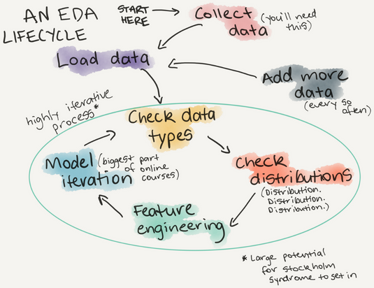 (Image from https://www.mrdbourke.com) The EDA lifecycle starts with data collection and is primarily a cycle between checking data types, assessing distributions, feature engineering, and model iteration. These tasks are supported by summary statistics, visualization, and modeling.