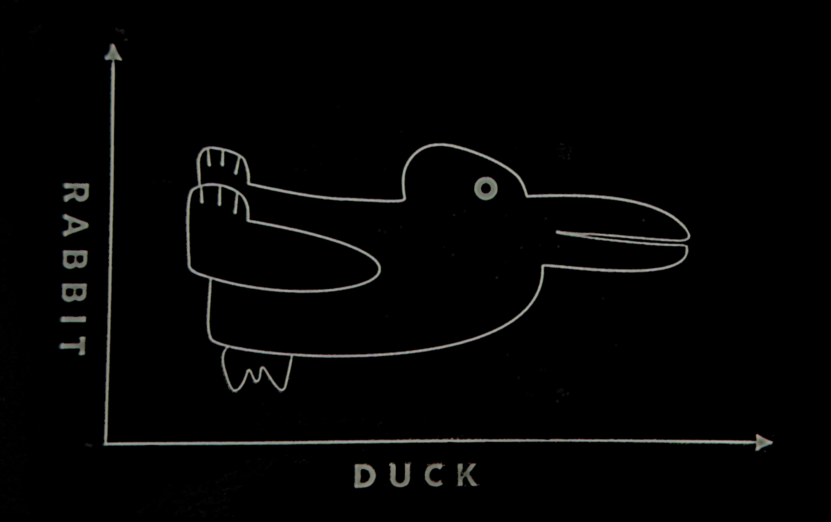 An ambiguous image: when viewed from the right side, it looks like a duck, and when viewed from the bottom side, it looks like a rabbit. The x and y axes are labeled as 'rabbit' and 'duck', respectively.